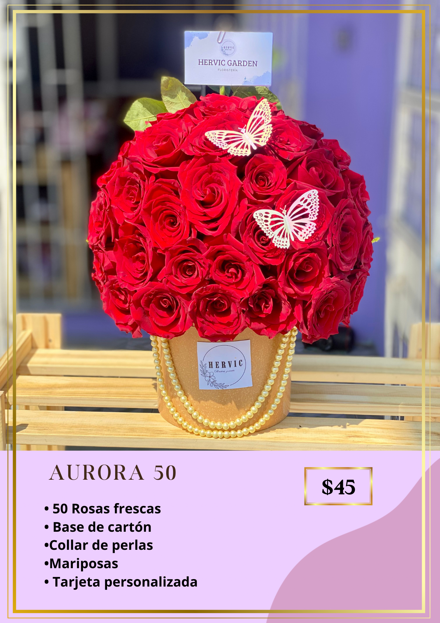 AURORA 50