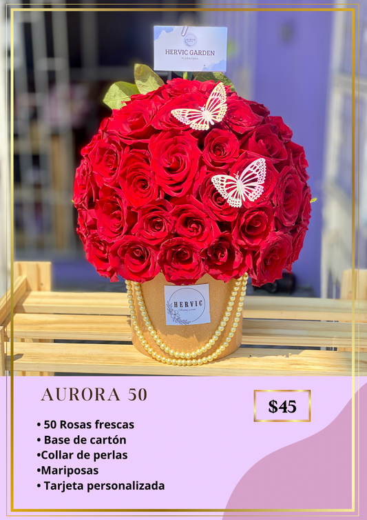AURORA 50