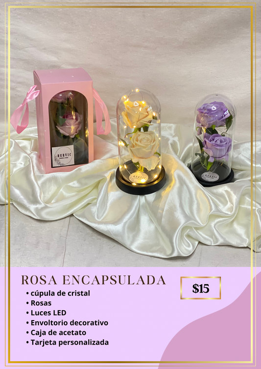 ROSA ENCAPSULADA