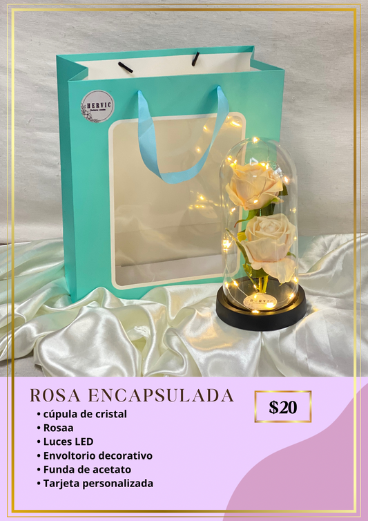 ROSA ENCAPSULADA